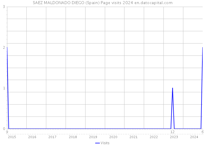 SAEZ MALDONADO DIEGO (Spain) Page visits 2024 