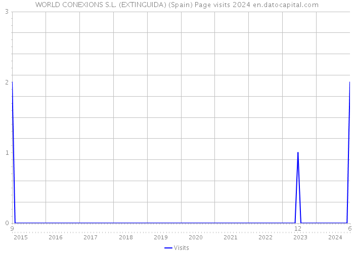 WORLD CONEXIONS S.L. (EXTINGUIDA) (Spain) Page visits 2024 