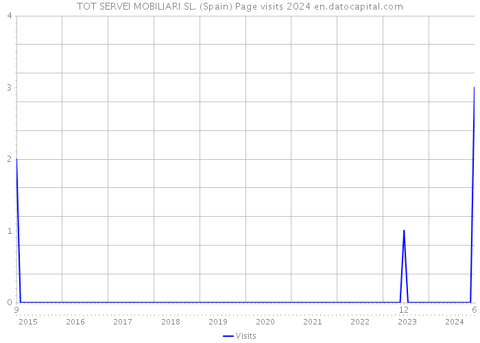 TOT SERVEI MOBILIARI SL. (Spain) Page visits 2024 