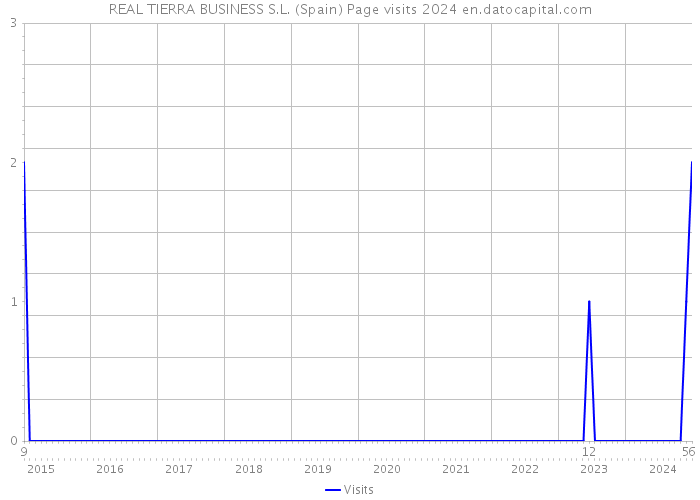 REAL TIERRA BUSINESS S.L. (Spain) Page visits 2024 