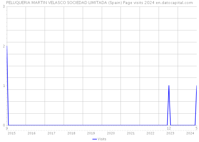 PELUQUERIA MARTIN VELASCO SOCIEDAD LIMITADA (Spain) Page visits 2024 