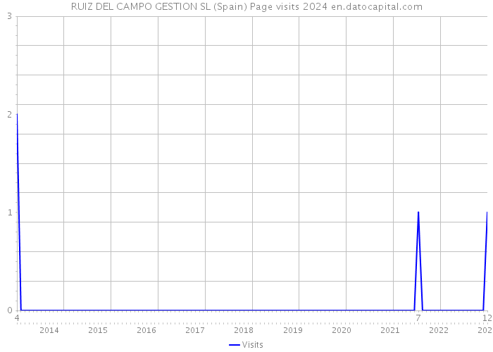 RUIZ DEL CAMPO GESTION SL (Spain) Page visits 2024 