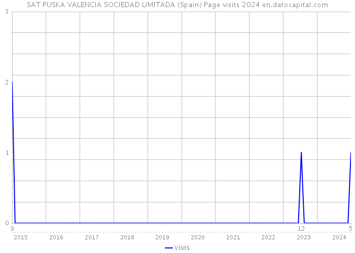 SAT PUSKA VALENCIA SOCIEDAD LIMITADA (Spain) Page visits 2024 