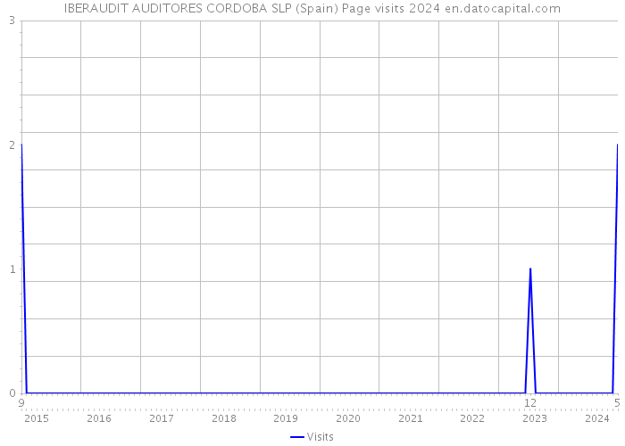 IBERAUDIT AUDITORES CORDOBA SLP (Spain) Page visits 2024 