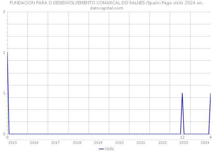 FUNDACION PARA O DESENVOLVEMENTO COMARCAL DO SALNES (Spain) Page visits 2024 