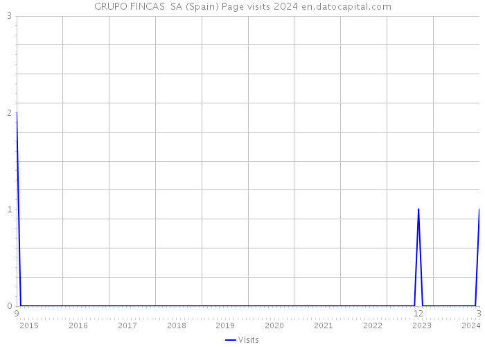 GRUPO FINCAS SA (Spain) Page visits 2024 