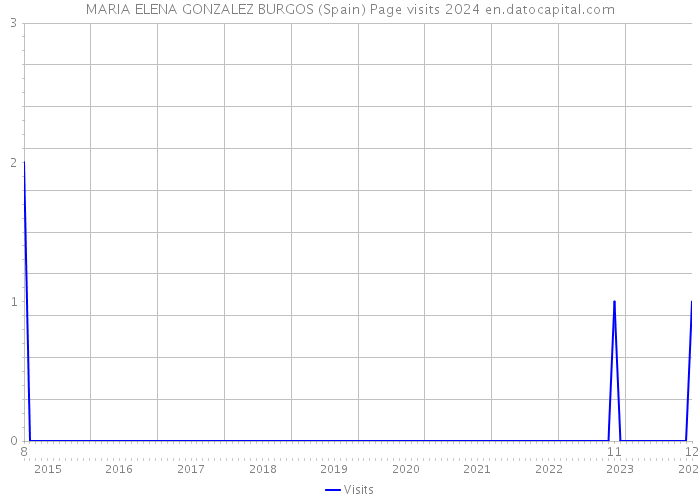 MARIA ELENA GONZALEZ BURGOS (Spain) Page visits 2024 