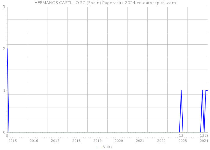HERMANOS CASTILLO SC (Spain) Page visits 2024 