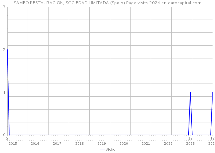 SAMBO RESTAURACION, SOCIEDAD LIMITADA (Spain) Page visits 2024 