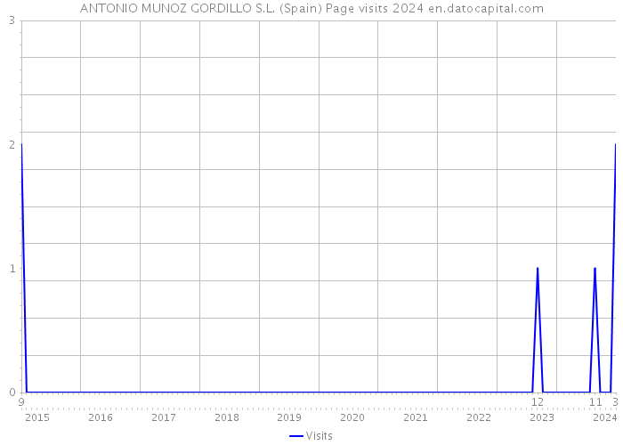 ANTONIO MUNOZ GORDILLO S.L. (Spain) Page visits 2024 