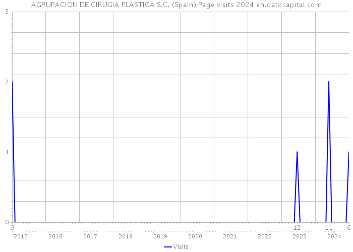 AGRUPACION DE CIRUGIA PLASTICA S.C. (Spain) Page visits 2024 