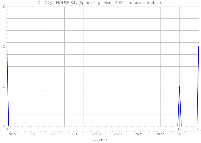 OLLOQUI HOUSE S.L. (Spain) Page visits 2024 