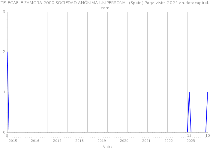 TELECABLE ZAMORA 2000 SOCIEDAD ANÓNIMA UNIPERSONAL (Spain) Page visits 2024 