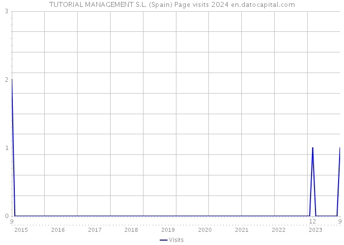 TUTORIAL MANAGEMENT S.L. (Spain) Page visits 2024 