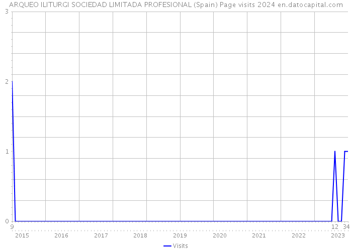 ARQUEO ILITURGI SOCIEDAD LIMITADA PROFESIONAL (Spain) Page visits 2024 