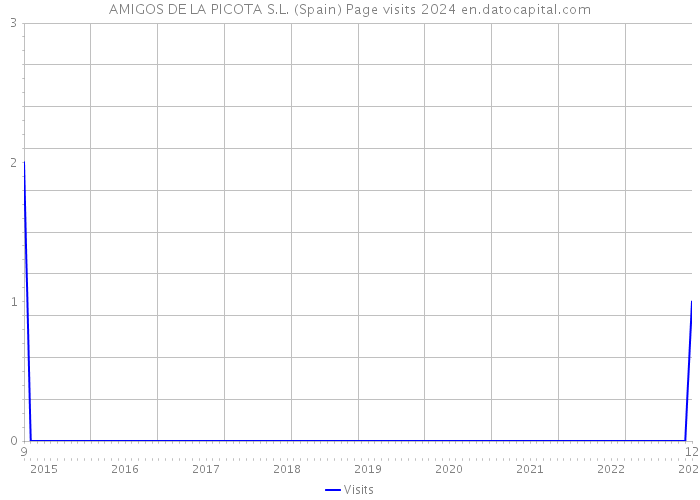 AMIGOS DE LA PICOTA S.L. (Spain) Page visits 2024 