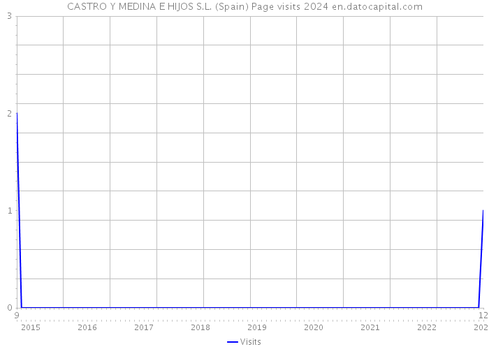 CASTRO Y MEDINA E HIJOS S.L. (Spain) Page visits 2024 