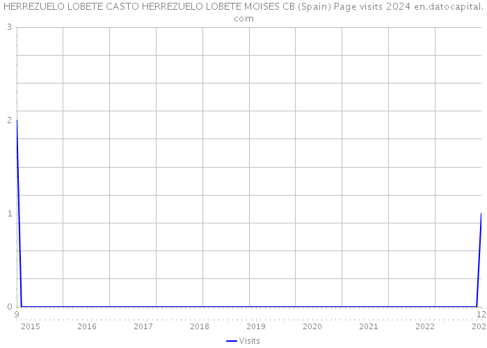 HERREZUELO LOBETE CASTO HERREZUELO LOBETE MOISES CB (Spain) Page visits 2024 