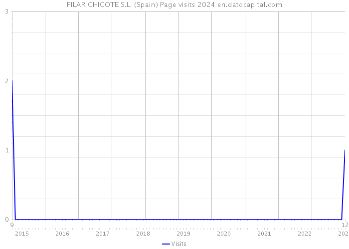 PILAR CHICOTE S.L. (Spain) Page visits 2024 