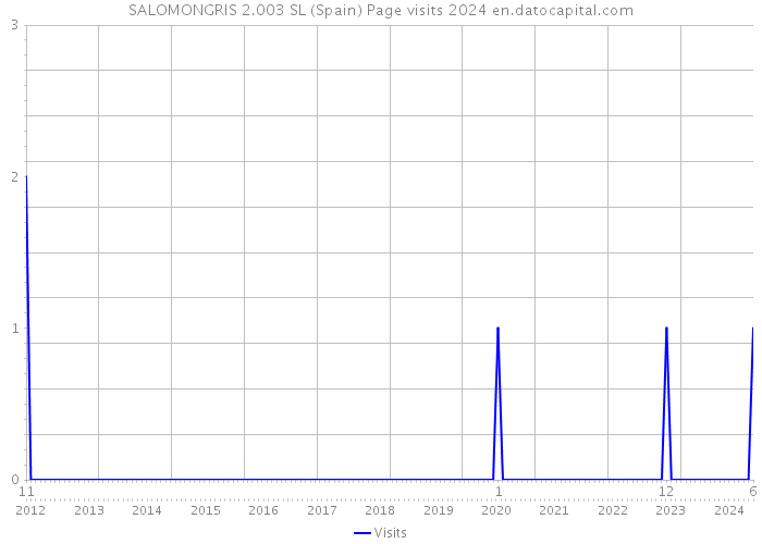 SALOMONGRIS 2.003 SL (Spain) Page visits 2024 