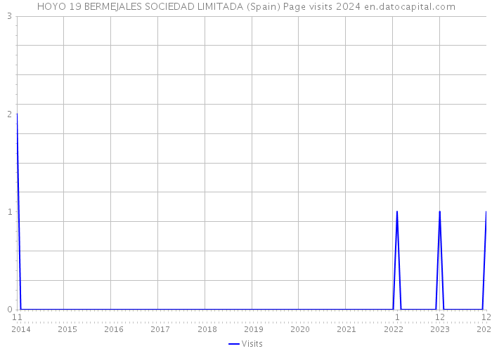 HOYO 19 BERMEJALES SOCIEDAD LIMITADA (Spain) Page visits 2024 