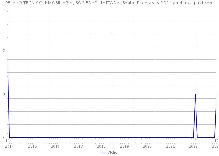 PELAYO TECNICO INMOBILIARIA, SOCIEDAD LIMITADA (Spain) Page visits 2024 