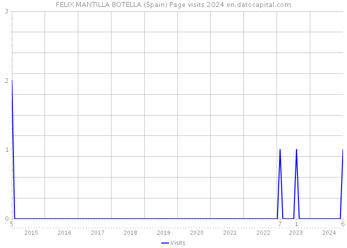 FELIX MANTILLA BOTELLA (Spain) Page visits 2024 