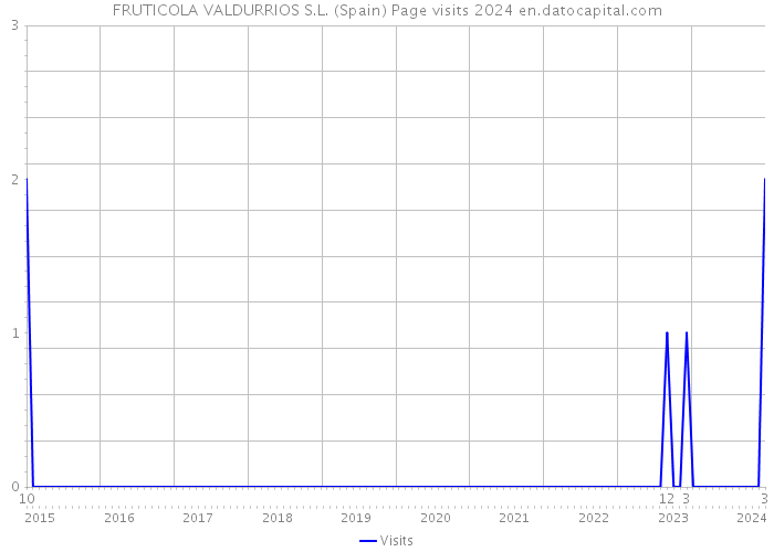 FRUTICOLA VALDURRIOS S.L. (Spain) Page visits 2024 