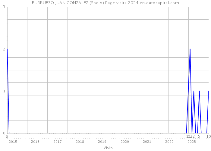 BURRUEZO JUAN GONZALEZ (Spain) Page visits 2024 