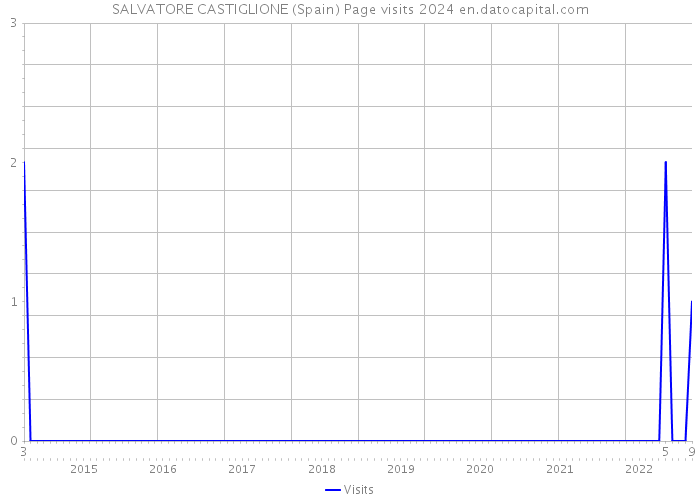 SALVATORE CASTIGLIONE (Spain) Page visits 2024 