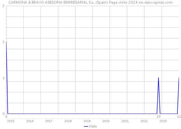 CARMONA & BRAVO ASESORIA EMPRESARIAL S.L. (Spain) Page visits 2024 