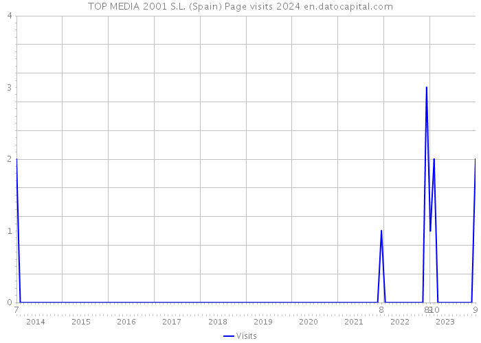 TOP MEDIA 2001 S.L. (Spain) Page visits 2024 