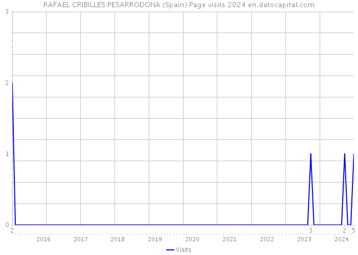 RAFAEL CRIBILLES PESARRODONA (Spain) Page visits 2024 