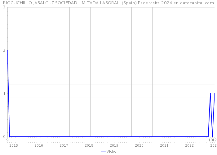 RIOGUCHILLO JABALCUZ SOCIEDAD LIMITADA LABORAL. (Spain) Page visits 2024 