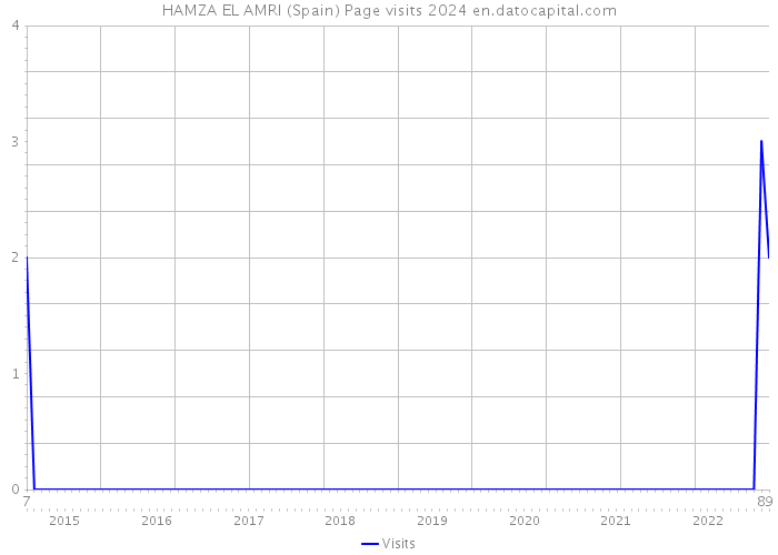 HAMZA EL AMRI (Spain) Page visits 2024 