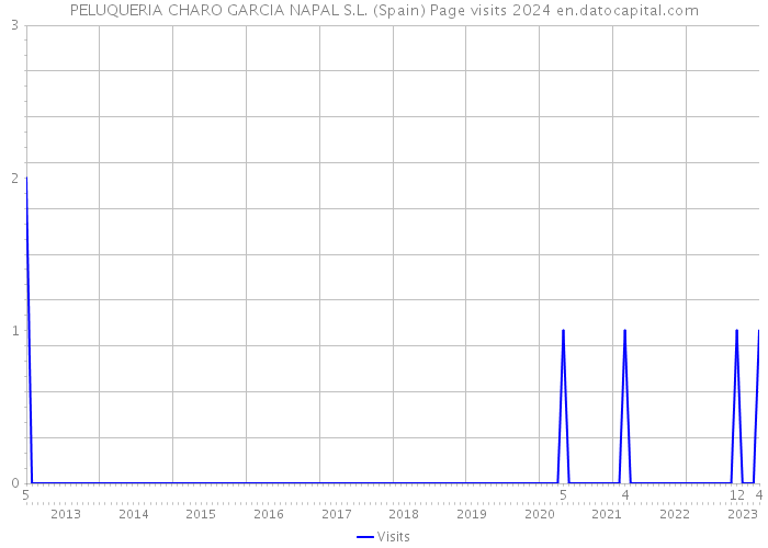 PELUQUERIA CHARO GARCIA NAPAL S.L. (Spain) Page visits 2024 