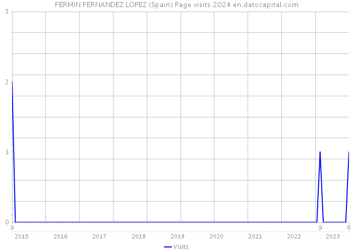 FERMIN FERNANDEZ LOPEZ (Spain) Page visits 2024 