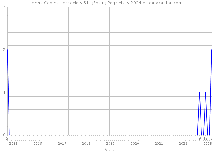 Anna Codina I Associats S.L. (Spain) Page visits 2024 