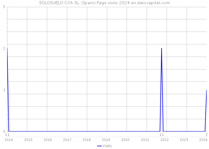 SOLOSUELO GYA SL. (Spain) Page visits 2024 