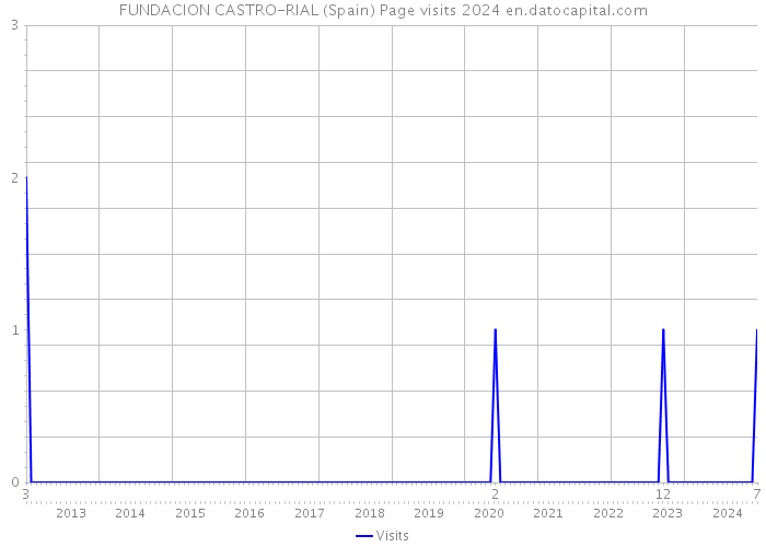 FUNDACION CASTRO-RIAL (Spain) Page visits 2024 