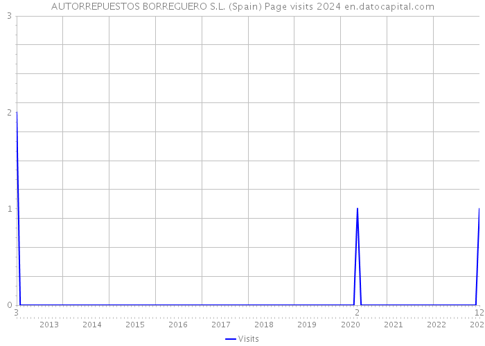 AUTORREPUESTOS BORREGUERO S.L. (Spain) Page visits 2024 