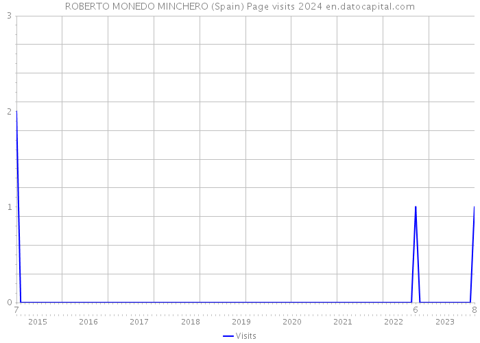 ROBERTO MONEDO MINCHERO (Spain) Page visits 2024 