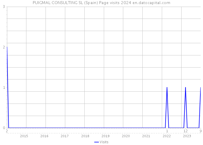 PUIGMAL CONSULTING SL (Spain) Page visits 2024 