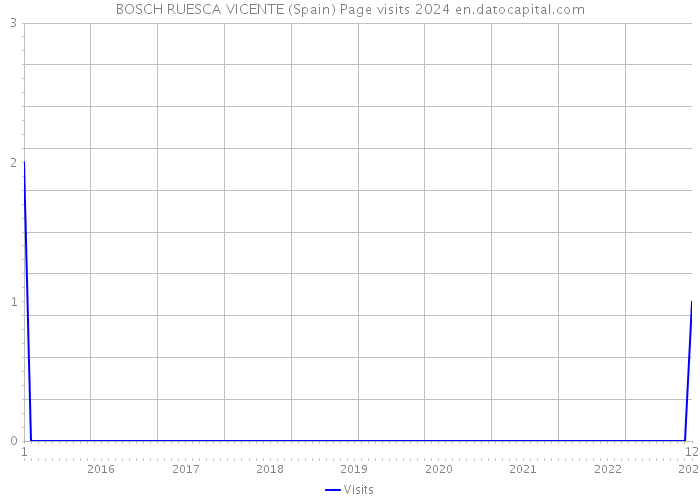 BOSCH RUESCA VICENTE (Spain) Page visits 2024 