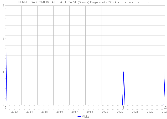 BERNESGA COMERCIAL PLASTICA SL (Spain) Page visits 2024 