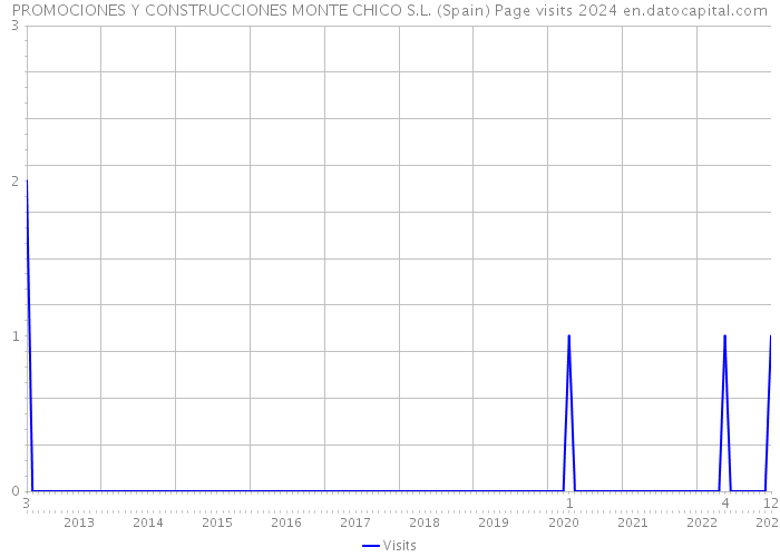 PROMOCIONES Y CONSTRUCCIONES MONTE CHICO S.L. (Spain) Page visits 2024 