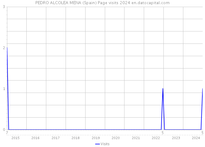 PEDRO ALCOLEA MENA (Spain) Page visits 2024 