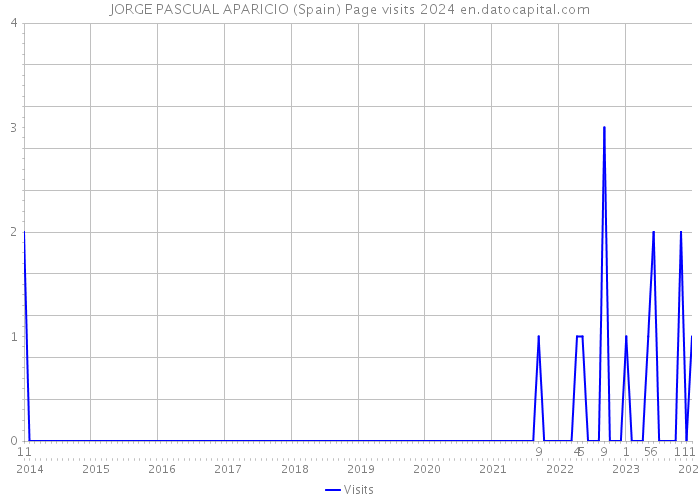 JORGE PASCUAL APARICIO (Spain) Page visits 2024 