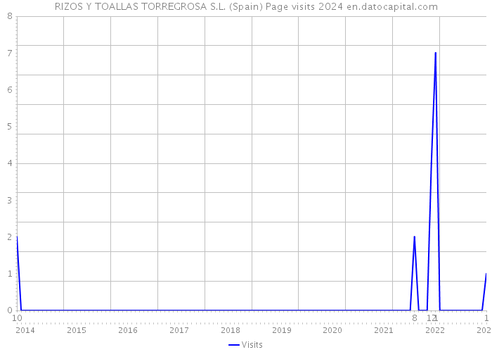 RIZOS Y TOALLAS TORREGROSA S.L. (Spain) Page visits 2024 