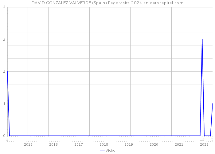 DAVID GONZALEZ VALVERDE (Spain) Page visits 2024 
